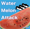 Water Melon Attack
